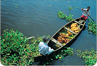 Kerala Backwater Packages